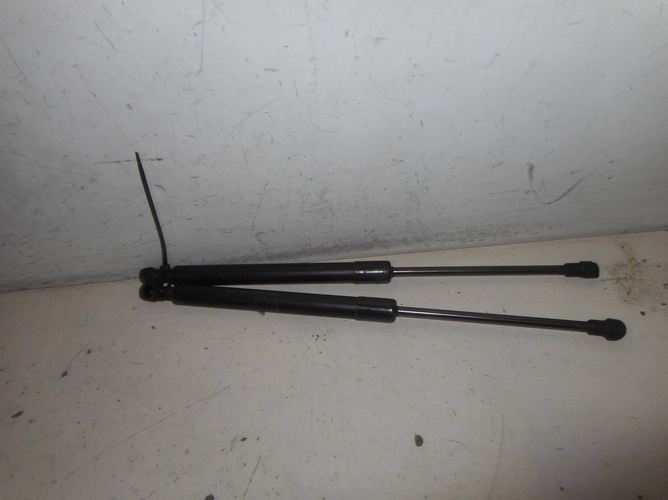 Asta ammortizzante portello post. sx.